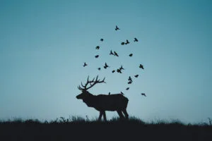 reindeer minimal silhouette r4.jpg