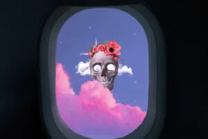 skull from flight dl.jpg