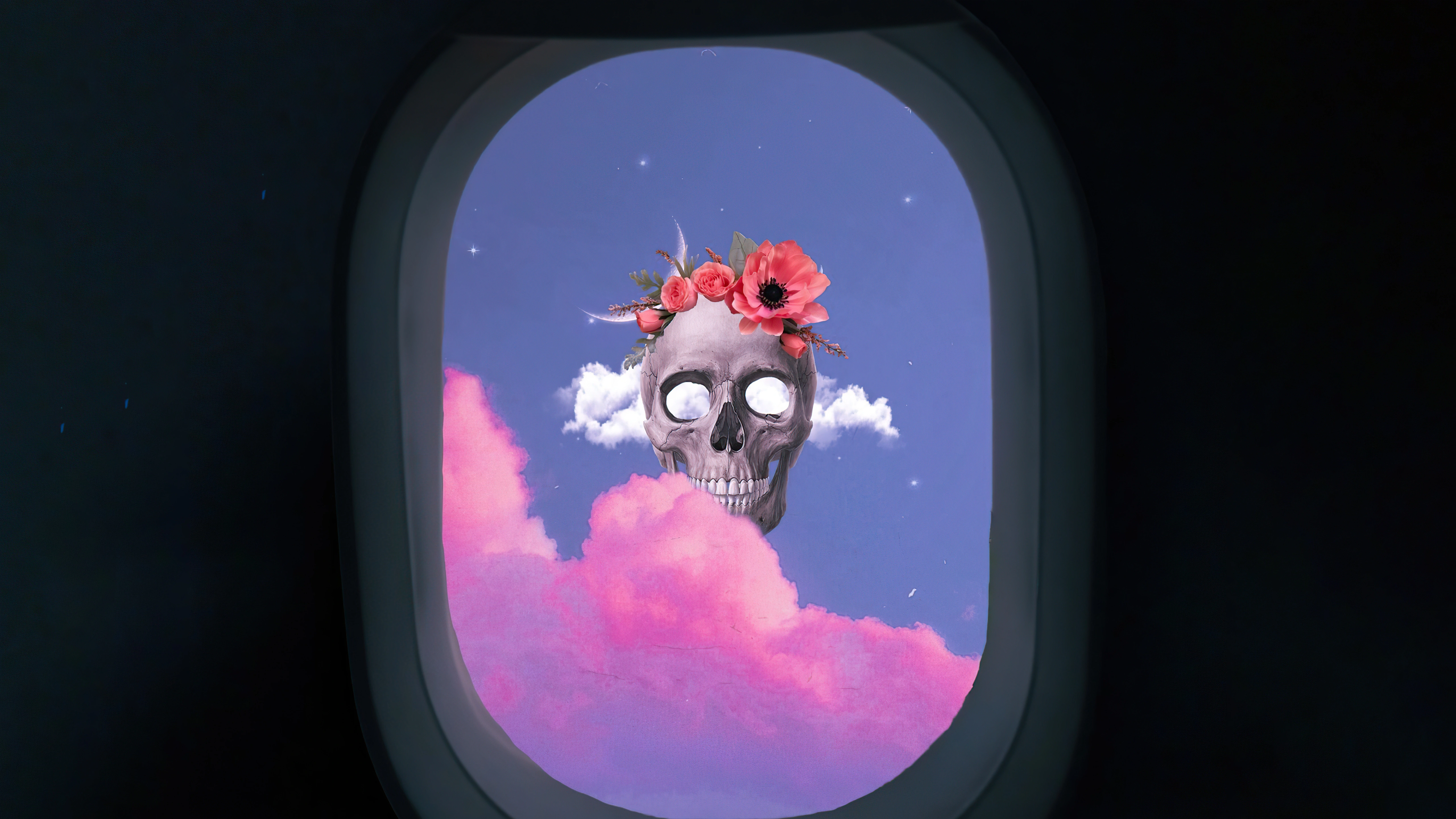 skull from flight dl.jpg