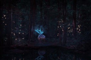 magical reindeer in forest 1b.jpg
